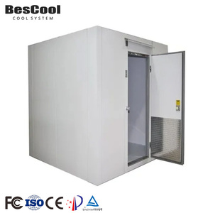 Contenedor Refrigerado con Dimensiones Personalizables, -25~+10C, Control Automático, Refrigerante R404a, 1 Puerta, 380/400VAC, Personalizado - Product Image 1