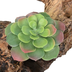 Mini piante finte <span class=keywords><strong>colorate</strong></span> artificiali <span class=keywords><strong>succulente</strong></span> per la decorazione della scrivania - Product Image 1