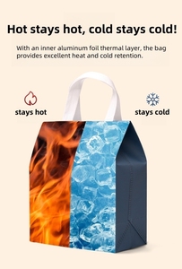 Bolsa Térmica para Llevar Comida para Restaurantes y Cafeterías, Material No Tejido con Impresión de Marca Personalizada - Product Image 6