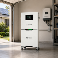 Batterie de stockage d'énergie solaire TIANON, écoénergétique, respectueuse de l'environnement, 51,2 V, 100 Ah, 300 Ah, LiFePO4, IP65, CAN, hors réseau, 16 kWh