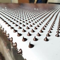 Ligne de production de machines automatiques de dépose de pépites de chocolat GUSU