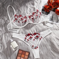 Ensemble de Lingerie Sexy à Broderie Florale pour Femme, Parure Délicate en Dentelle 2 Pièces