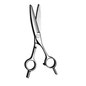 AQ660 Scissors Cutting Hair Professional Scissors for Hair Cut - Product Image 1