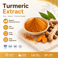 Poudre d'extrait de curcuma LongBio 95% curcumine, extrait de racine de Curcuma Longa pour compléments alimentaires et boissons, OEM ODM