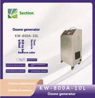 Générateur d'ozone manuel 10G pour systèmes de traitement alimentaire industriels, systèmes de filtration d'eau et systèmes d'osmose inverse