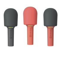 Harga Pabrik Speaker Mikrofon Nirkabel Plastik Bluetooth V5.0 Dengan Slot Kartu