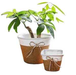 Manufacturers Direct Sales Garden Decorate Planting Growing Basin Flower Basket Succulent Flower Pots