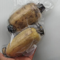 Sacs sous vide biodégradables 80x110 cm, en PE à motif embossé. Personnalisables et thermoscellables pour emballage alimentaire.
