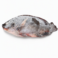 Tilapia noire entière surgelée IQF pour la transformation alimentaire, les commandes d'exportation et les achats en gros volumes