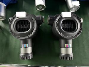 Detector de Gas Combustible a Prueba de Explosiones IP66/IP68 para Petróleo y Aplicaciones con Certificación IECEX ATEX - Product Image 1