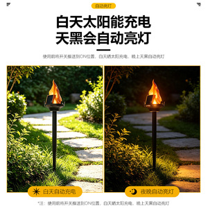 Lampe de jardin à flamme simulée alimentée par l'énergie solaire Xinyao Electric Appliances 5W, lampe décorative extérieure pour pelouse - Product Image 5