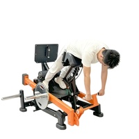 Máquina de Extensión de Cadera a 45 Grados para Uso Comercial, Silla Romana, Entrenador de Extensión de Cadera, Equipo de Gimnasio para Ejercicios de Músculos de la Espalda