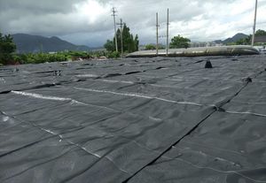 Sac filtrant géotextile tissé noir pour déshydratation des boues, géotextile géotechnique en PP pour déshydratation des boues, prix - Product Image 3