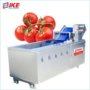Prezzo della macchina della rondella del pomodoro attrezzatura per il lavaggio delle verdure macchina per la pulizia di frutta e verdura