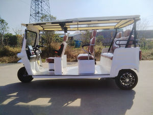 Tricycles électriques à <span class=keywords><strong>trois</strong></span> <span class=keywords><strong>roues</strong></span> pour adultes à vendre, 9 places, véhicule EEC avec pneus lourds à grande vitesse - Product Image 2