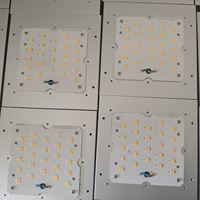 Modules d'éclairage LED haute puissance 25W 50W 60W, carte PCB 5050 avec lentilles et alimentation Mean Well