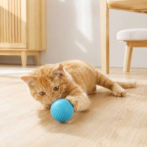 Interactive Toys Training Self-moving Catnip Toys for Cat Electric Pet Ball Automatic Rolling Ball Smart Cat Toys - Product Image 6