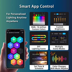 Suministro directo de fábrica Point Light Outdoor 36V Ucs7604 Rgbw Chasing Color Rgbwic Led Christmas Light para casa - Product Image 4