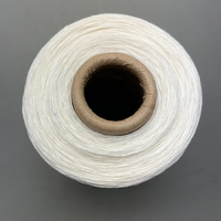 High Quality 24NM Organic Combed 100% Hemp Yarn for Weaving Hemp Clothing Eco-Friendly & Anti-Bacteria