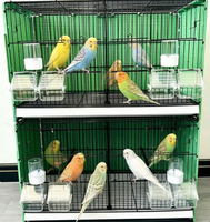 Cage à oiseaux empilable en acier pour l'élevage, pliable et durable, écologique, pour usage domestique