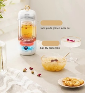 Mini olla eléctrica de vidrio multiusos para lavado de aves, dispositivo portátil para mantener el calor y la salud - Product Image 2