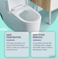 Poudre de toilette de haute qualité et haute puissance pour éliminer les odeurs, fabriquée en Chine