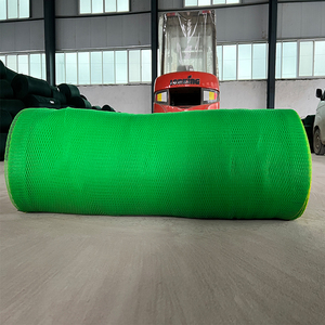 Red de Pesca de Monofilamento de HDPE Verde para Camarones, Tipo Uruguay, en Oferta - Product Image 6