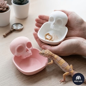 Gamelle pour dragon barbu en forme d'os d'Halloween, imprimée en 3D, anti-déversement, pour gecko léopard et lézard - Product Image 3