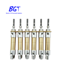 CH99P014.800.2 P119295 Pneumatikzylinder, 14 mm Bohrung, 800 mm Hub, doppeltwirkend, aus Aluminiumlegierung, mit integriertem Magnet, Ersatzteil