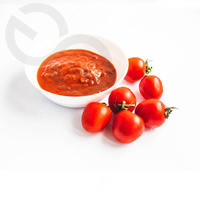 Volautomatische 300 Kg/u Tomatenpuree Productielijn Roestvrij Staal Continu Verpletteren, Verwarmen, Filteren & Vullen Systeem