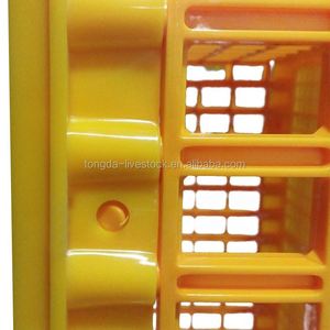 家禽ケージウズラ耐久性のあるCoopプロフェッショナル鳥大人鶏輸送用クレート - Product Image 4