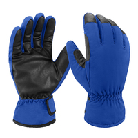Gants de snowboard thermiques de haute qualité fabriqués par le fabricant, en cuir premium, chauds, pour la motoneige et le ski