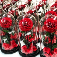 Boîte cadeau de la Saint-Valentin Belle Enchanted avec rose naturelle, fleurs éternelles, rose éternelle dans un dôme en verre avec LED