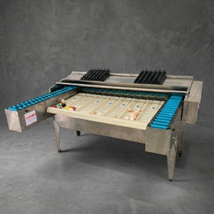 Carro de Clasificación de Huevos Profesional de Acero Inoxidable, 4500 Huevos por Hora, Procesamiento Automático de Huevos - Product Image 1