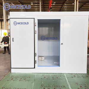 Armazenamento Frio Personalizado para Bananas com Máquina de Maturação para Frutas como Abacate - Product Image 2