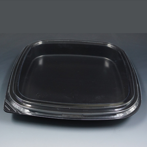 Venta al por mayor desechable sushi estilo de barco contenedor <span class=keywords><strong>con</strong></span> <span class=keywords><strong>tapa</strong></span> - Product Image 5