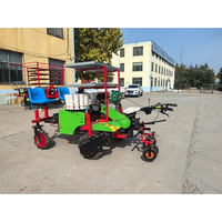 Machine automatique de transplantation de plants de tomates pour assistant agricole, semoirs et transplanteurs de poivrons, machine à planter les graines