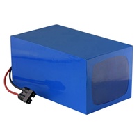 Batterie personnalisée 24V 36V 48V 72V 20Ah 30Ah 40Ah 50Ah au lithium-ion pour vélo électrique, scooter, vélo électronique