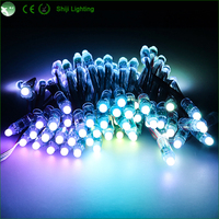 Lampu LED Pixel Warna-Warni SHIJI Outdoor Addressable 12mm 5v/12V untuk Natal, Sumber Cahaya Titik LED