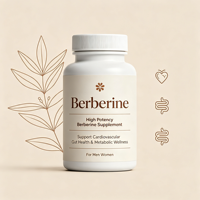 Capsules de berbérine HCl et de cannelle de Ceylan à haute puissance – Soutien antioxydant pour la santé cardiovasculaire, intestinale et métabolique des adultes