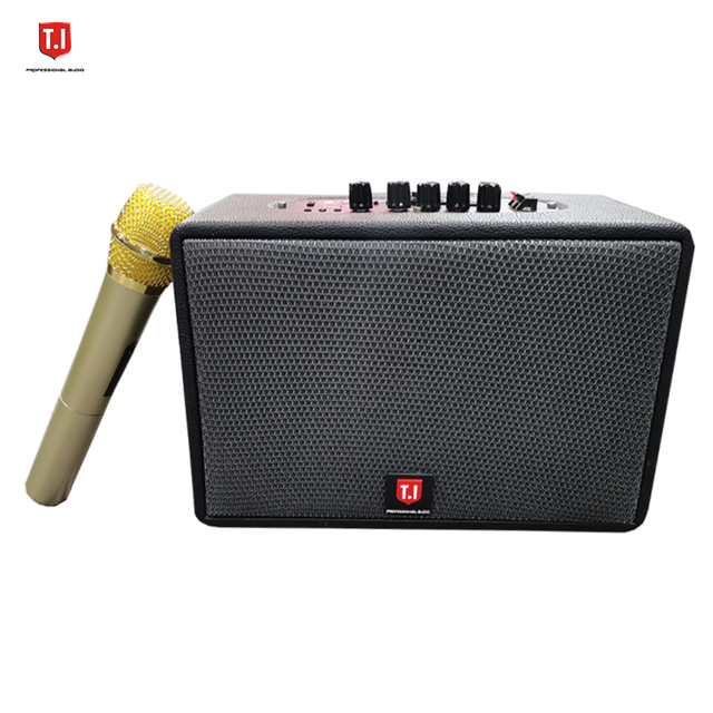 Professional Small Speaker Wireless bluetooth Party Speakers bluetooth 40 Watts