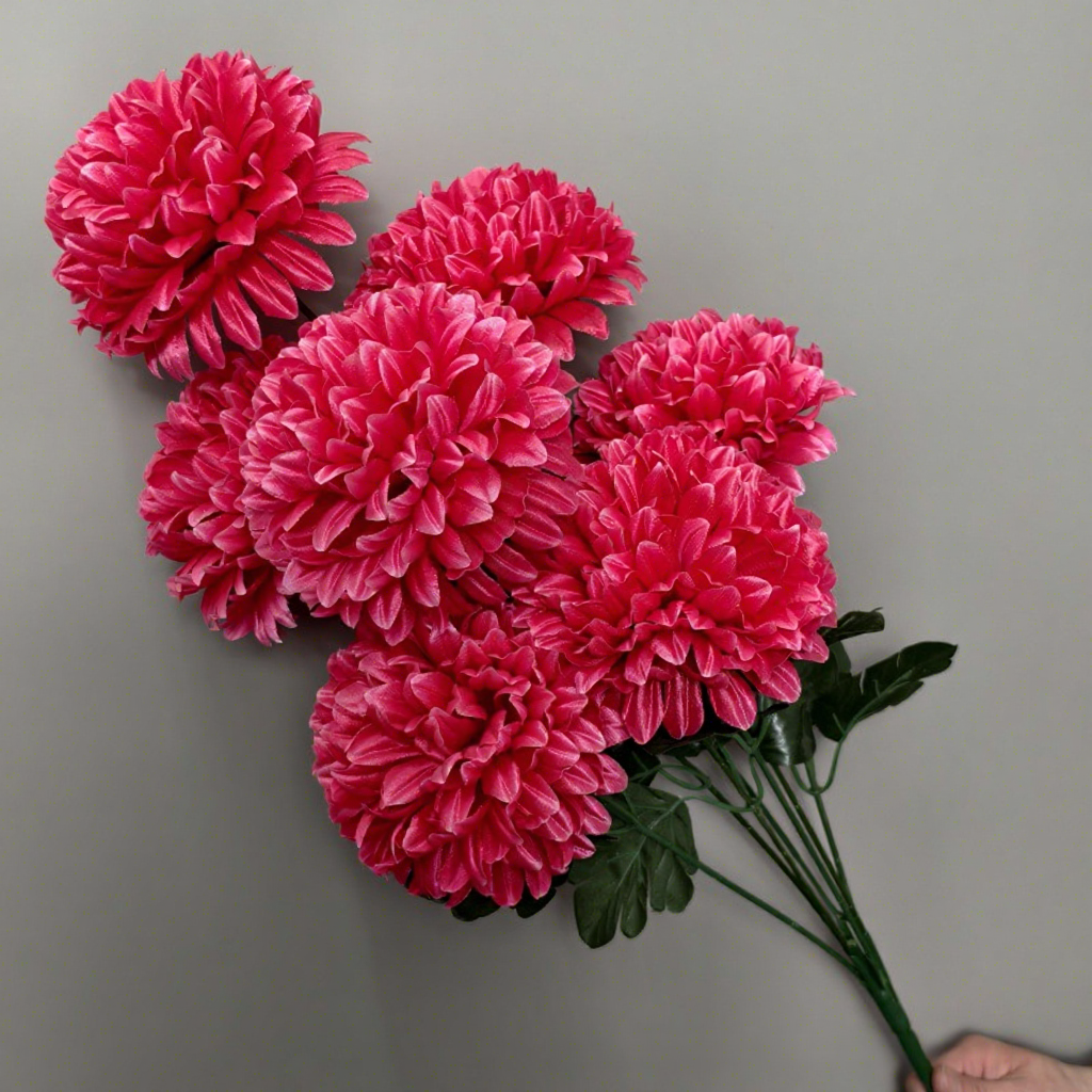 Chrysanthème boule rouge rosé