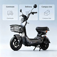 Vélo électrique de ville E Moto, 500W 48V, E-bike 60V 20Ah, trottinette électrique pour adultes