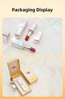 Personnalisable Velvet Glow Mirage Lip Elixir Rouge à Lèvres Aquatique Bio Longue Durée Brillant Mat Finition Beauté Maquillage Rouge à Lèvres Doux