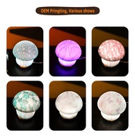 Base blanche mignon cadeau de noël enfants petite veilleuse colorée lampe de contrôle tactile belle LED champignon Silicone veilleuse