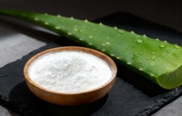 Poudre d'extrait d'aloe vera pur naturel de qualité cosmétique, soluble dans l'eau, 100X, origine végétale artificielle, polyvalente