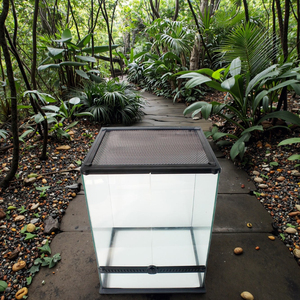 Terrario <span class=keywords><strong>de</strong></span> Vidrio para Reptiles <span class=keywords><strong>de</strong></span> Selva Tropical, Caja <span class=keywords><strong>de</strong></span> Cría para Reptiles, <span class=keywords><strong>Jaula</strong></span> con Malla para Dragón Barbudo e Iguana - Product Image 4