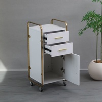 Chariot de rangement en acier inoxydable transfrontalier avec tiroirs, armoire de rangement, étagère au design moderne pour outils de coiffure, usage domestique et professionnel