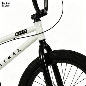 Vélo <span class=keywords><strong>BMX</strong></span> de course RAYMAX <span class=keywords><strong>20</strong></span> <span class=keywords><strong>pouces</strong></span>, cadre entièrement en chromoly, vitesse unique, frein TEKTRO U, roues en aluminium, pneus 20x2.40, moyeu 9T SAMOX - Product Image 3