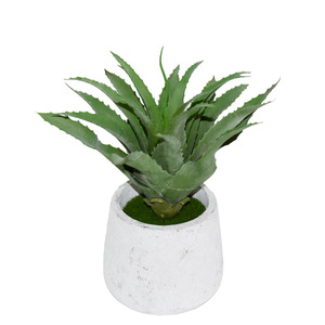 <span class=keywords><strong>Planta</strong></span> suculenta <span class=keywords><strong>grande</strong></span> artificial <span class=keywords><strong>aloe</strong></span> <span class=keywords><strong>vera</strong></span> en maceta hojas falsas - Product Image 4